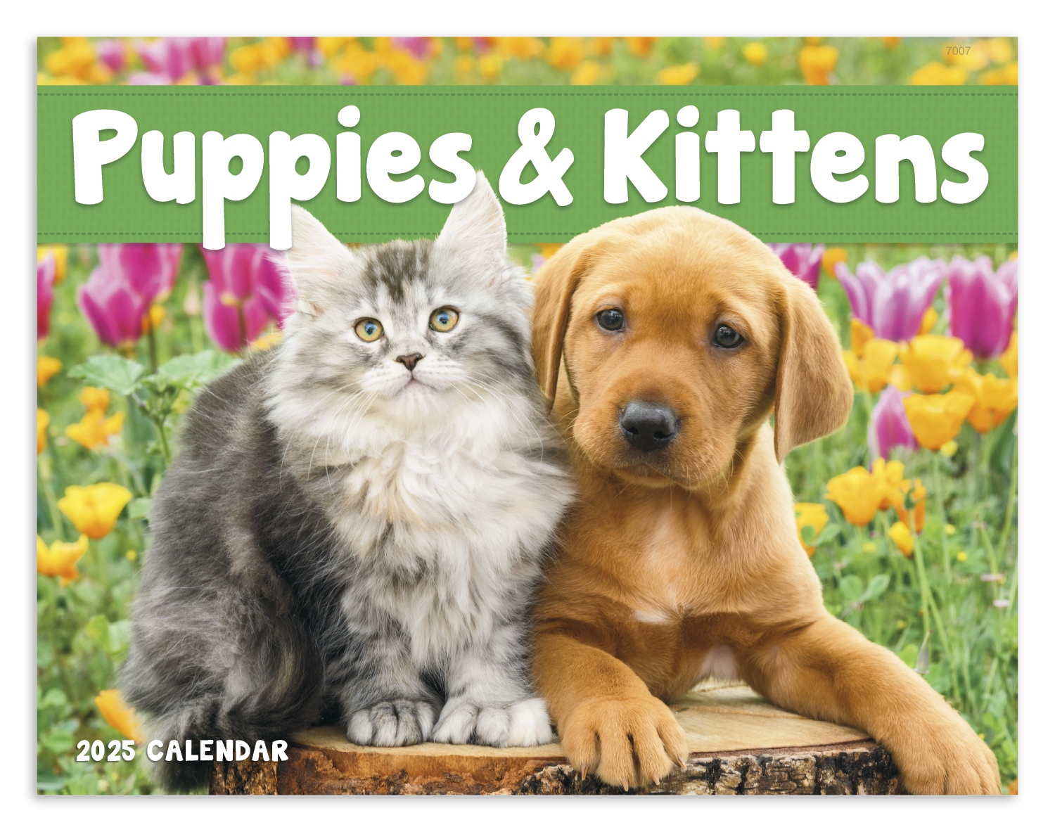 Good Value™ Puppies & Kittens - Window Calendar 8