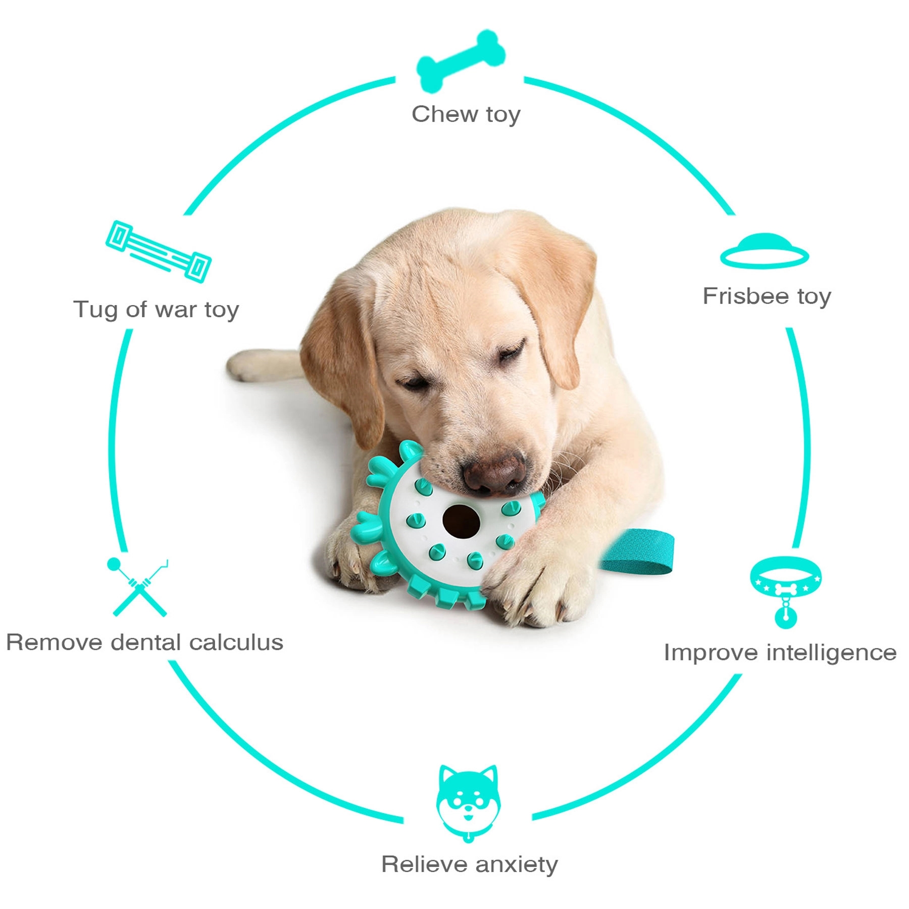 4 In1 Dog Teeth cleaning Toys 4