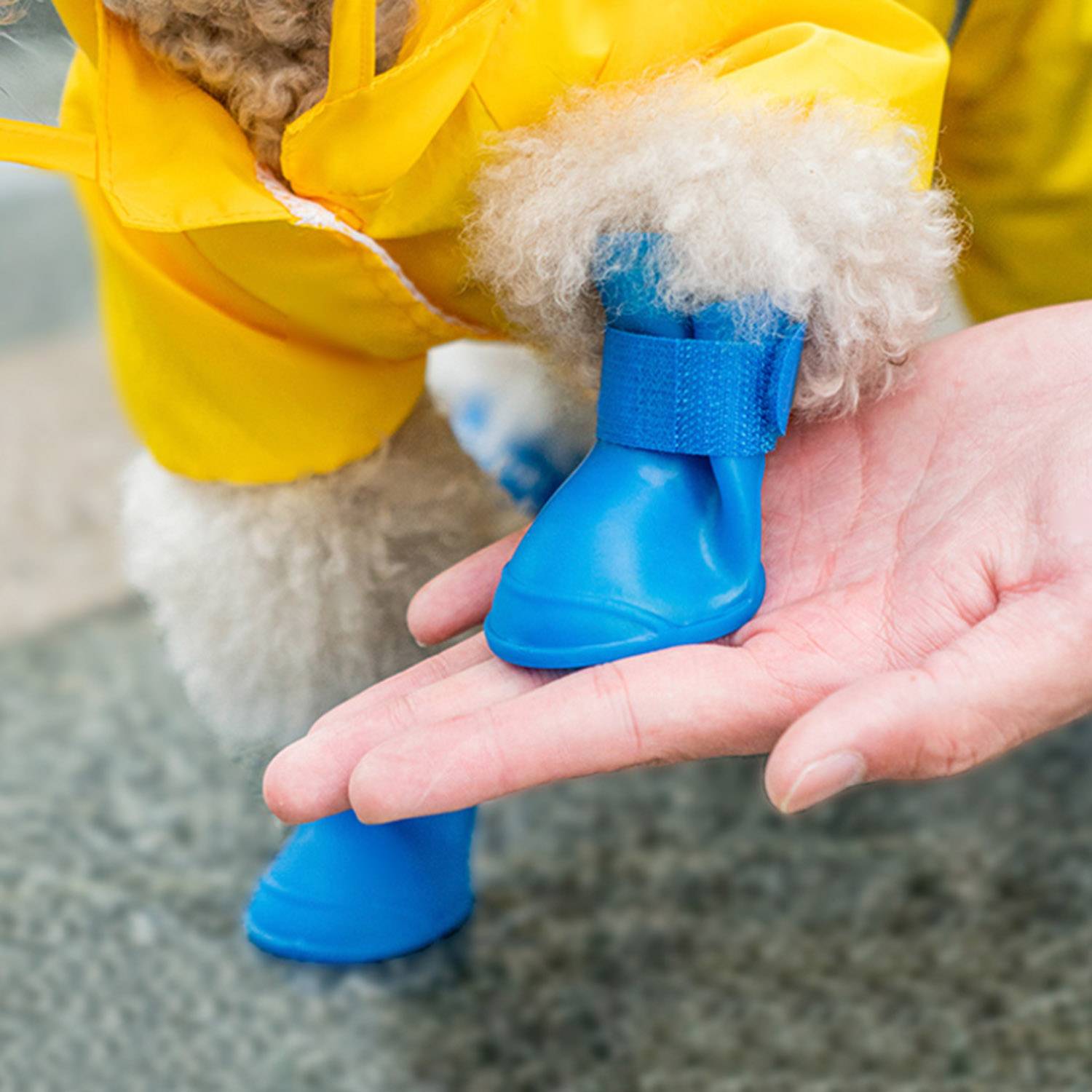 Waterproof Silicone Pet Shoes 9