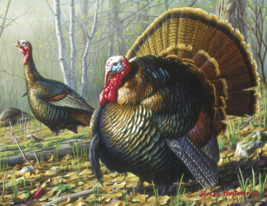 Triumph® Calendars Wildlife Art by the Hautman Brothers Calendar 66