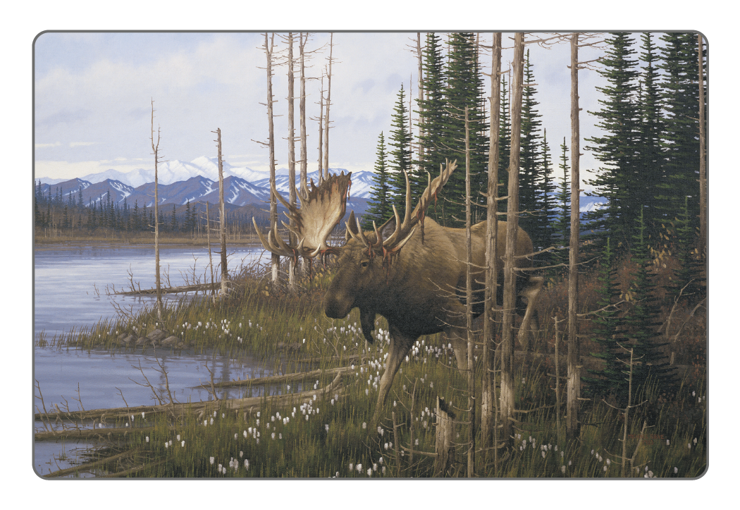 Triumph® Calendars Wildlife Art Pocket Calendar 14