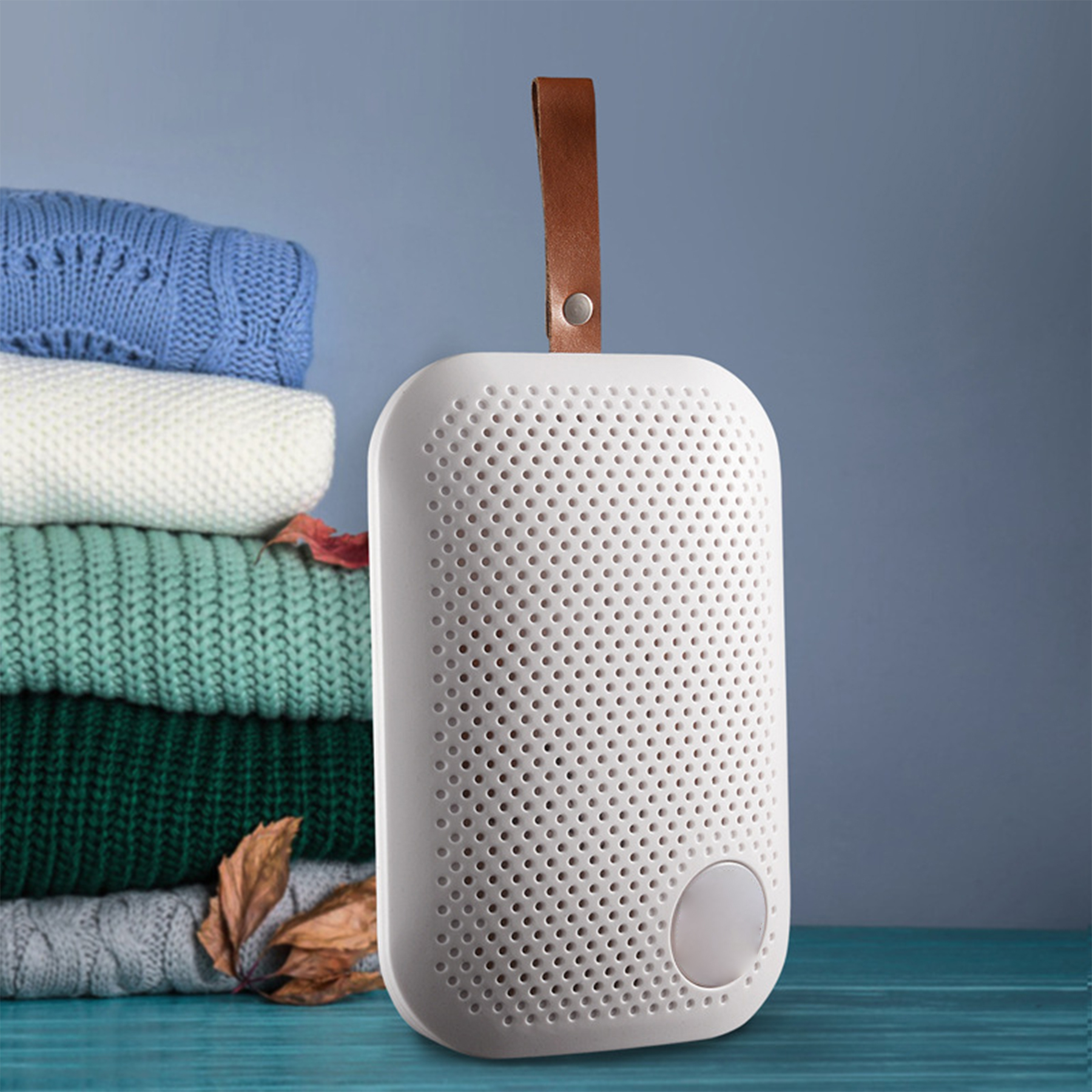 Abs Household Wardrobe Dehumidifier 6