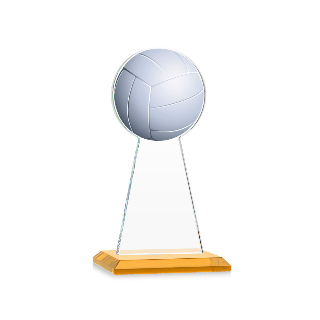 Edenwood Volleyball VividPrint™ Award - Amber 8