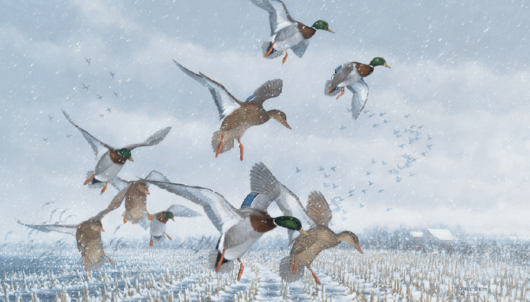 Triumph® Calendars North American Waterfowl Calendar 21