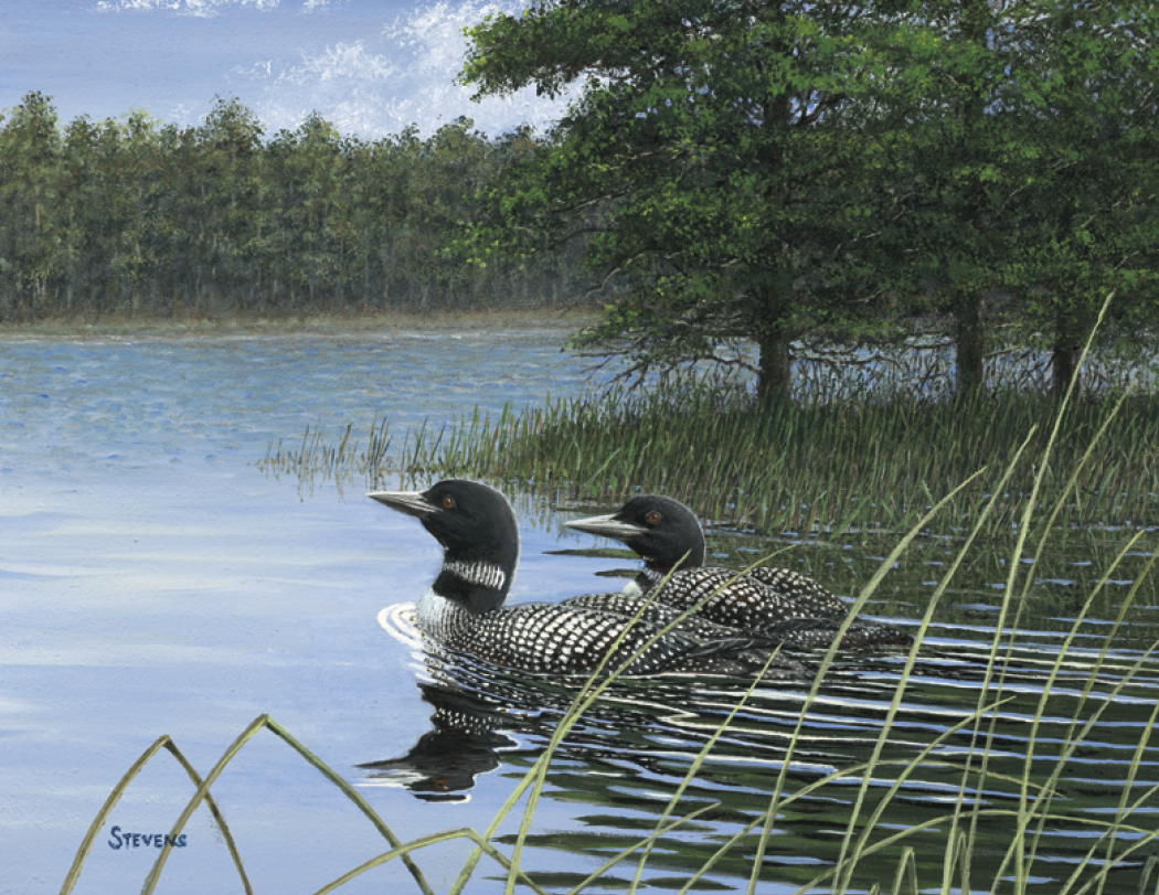 HotLine® Products Wildlife Collection Appointment Calendar - Stapled 42