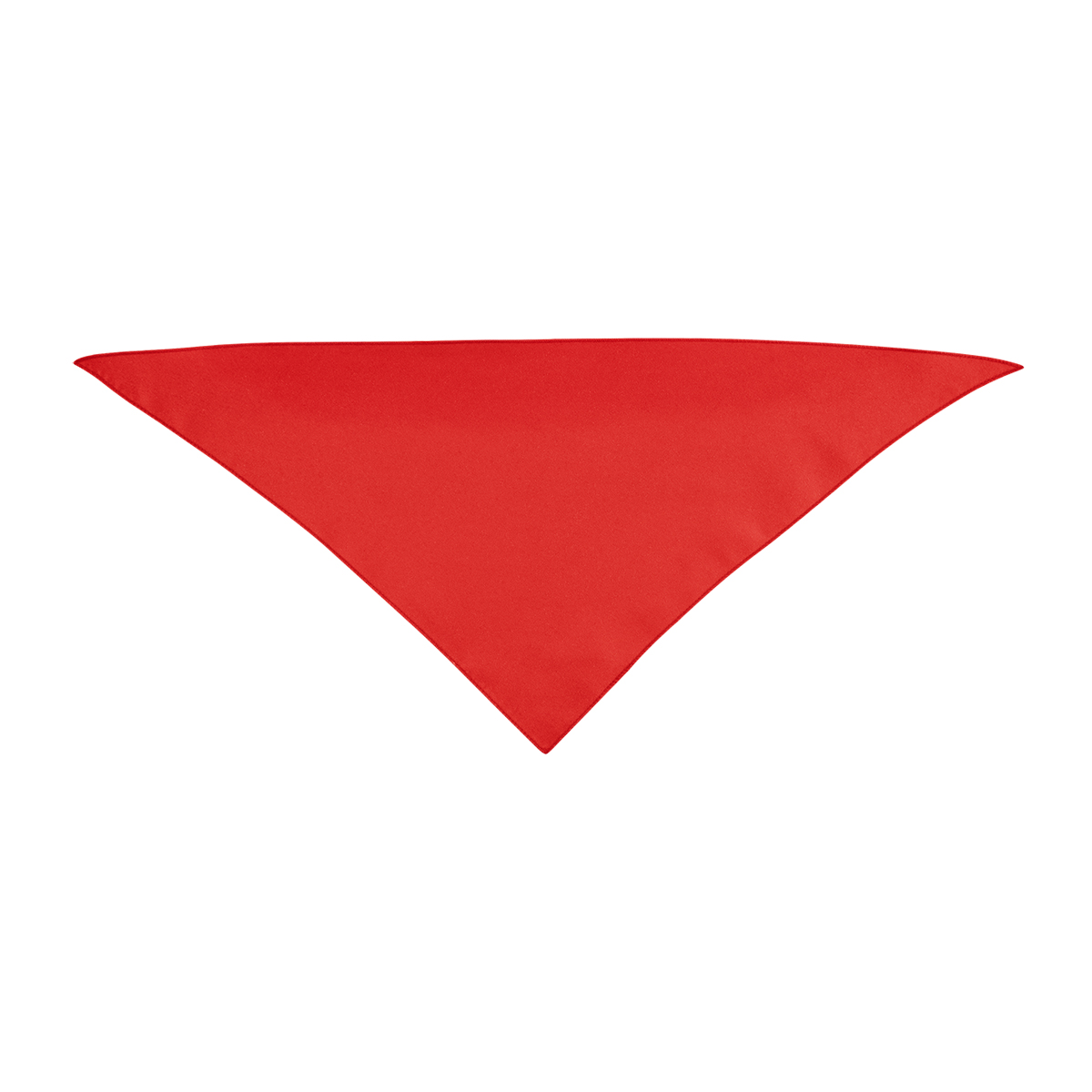 Small Triangle rPET Pet Bandana 3