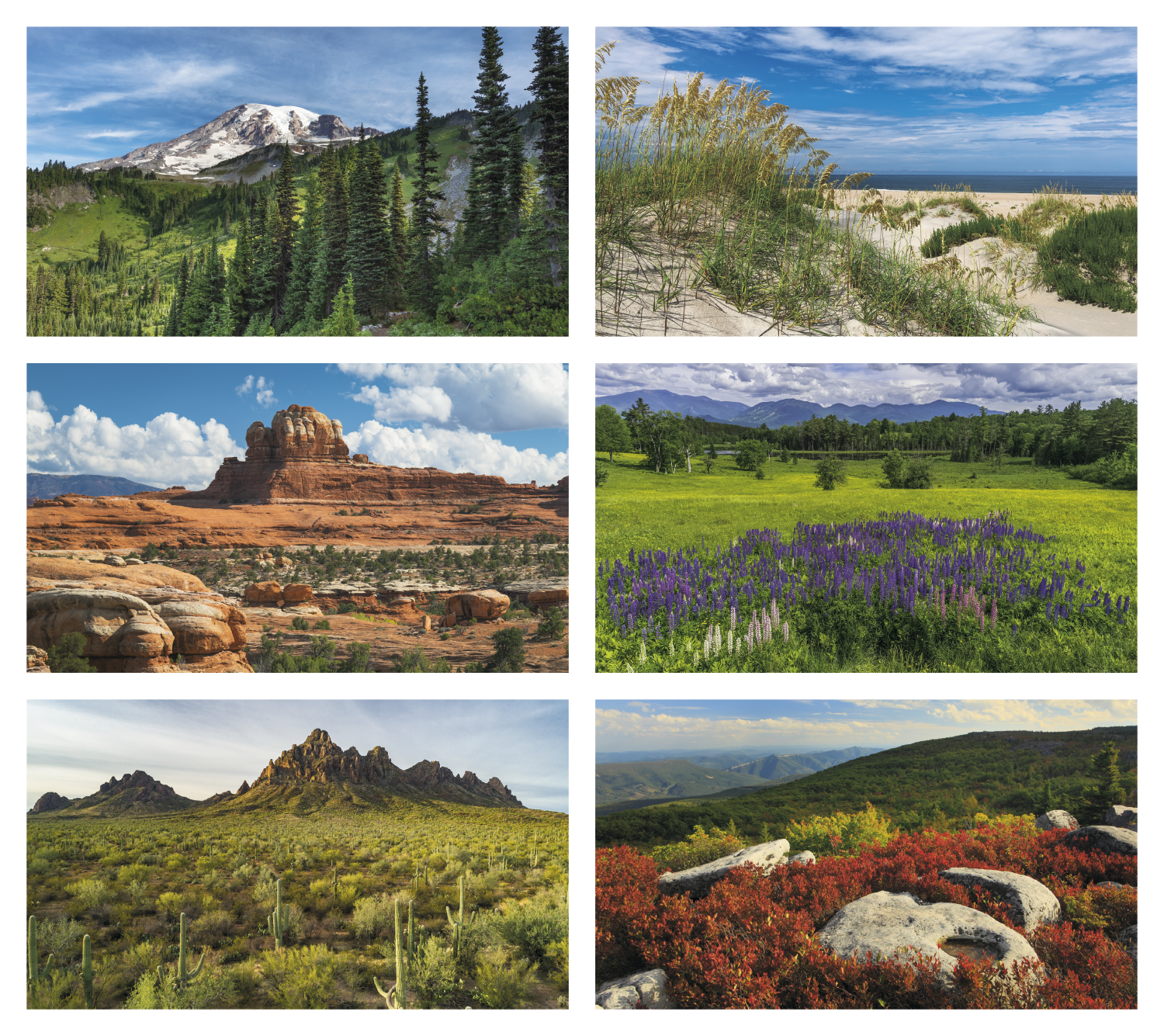 Triumph® Calendars American Splendor Calendar 15