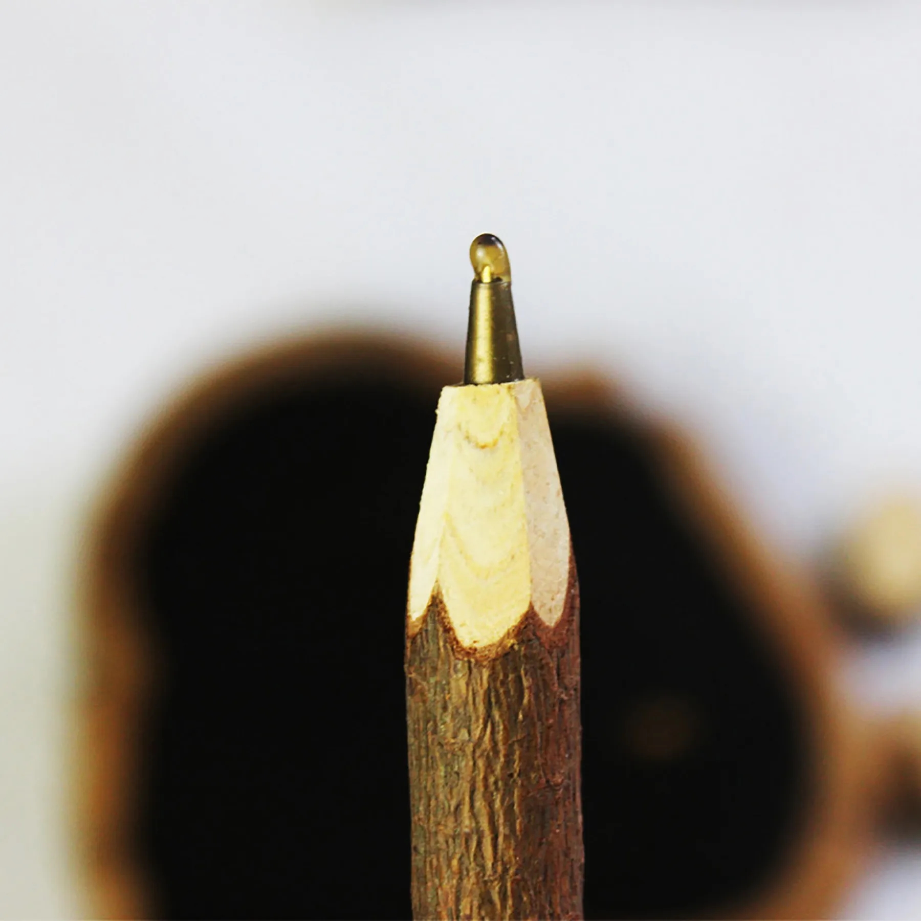 Wood Pen 6