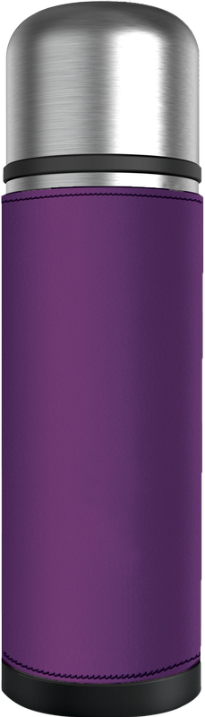 17 oz. Regency Insulated Thermos 16