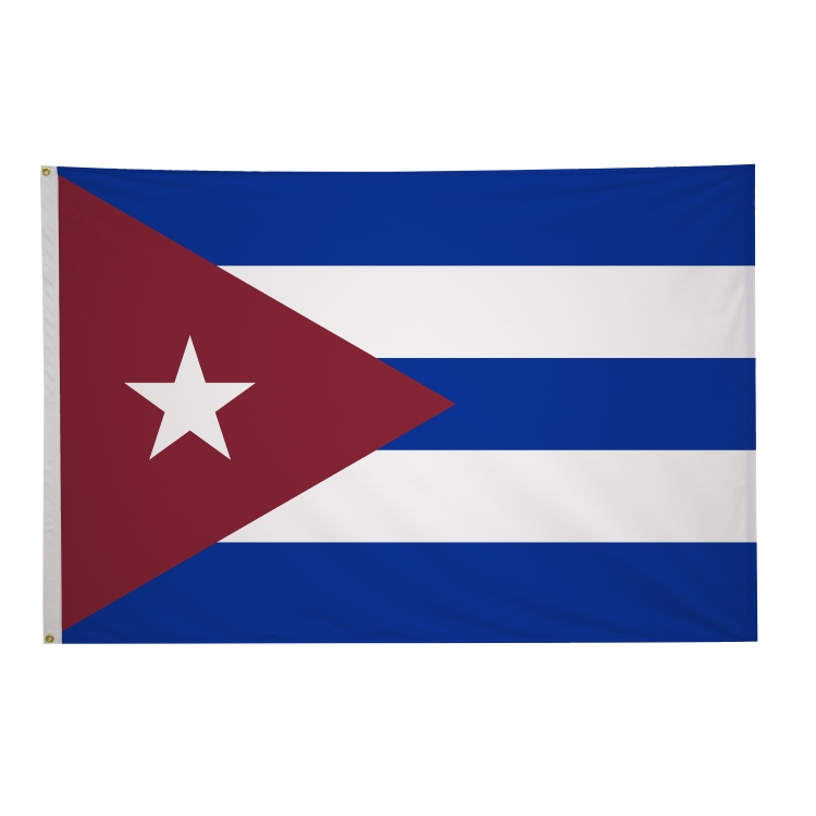 4' x 6' International Flags 137