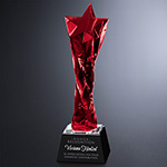 Twisted Star Award 8