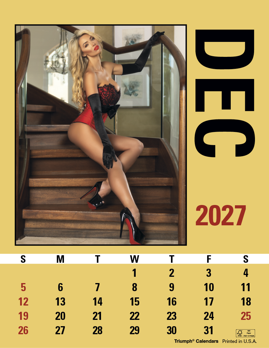 Triumph® Calendars Press-N-Stick Maiden America Calendar 13