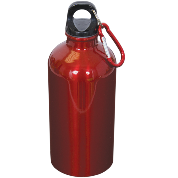 500 Ml (17 Fl. Oz.) Stainless Steel Bottle With Carabiner, custom water bottle with logo imprint 1
