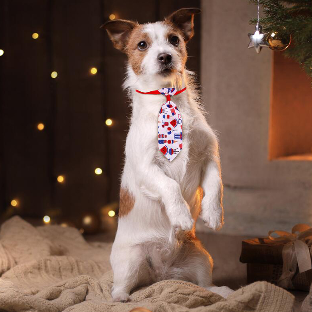 US Independence Day Pet Accessories 3