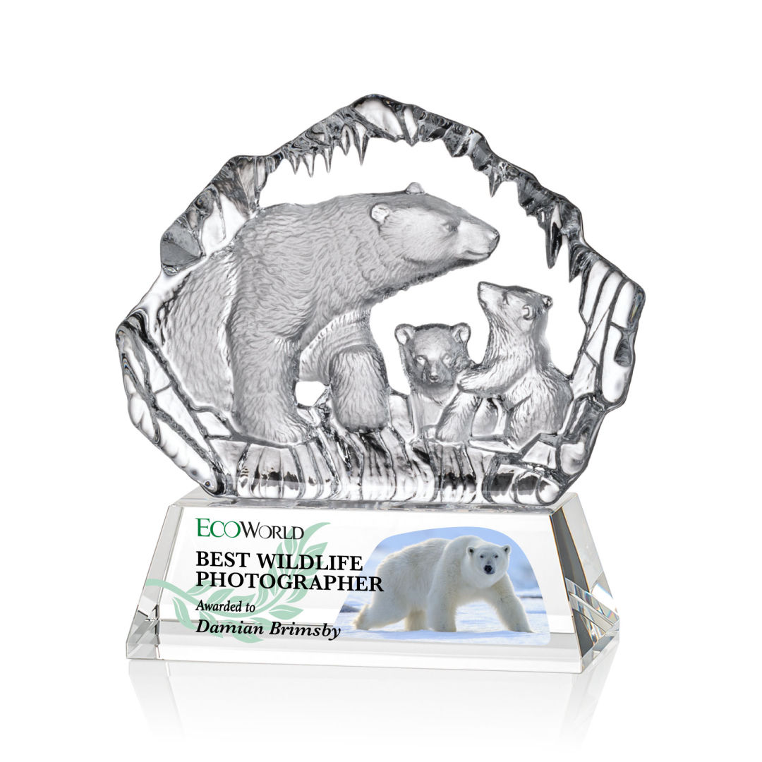 Ottavia Polar Bears VividPrint™ Award 9