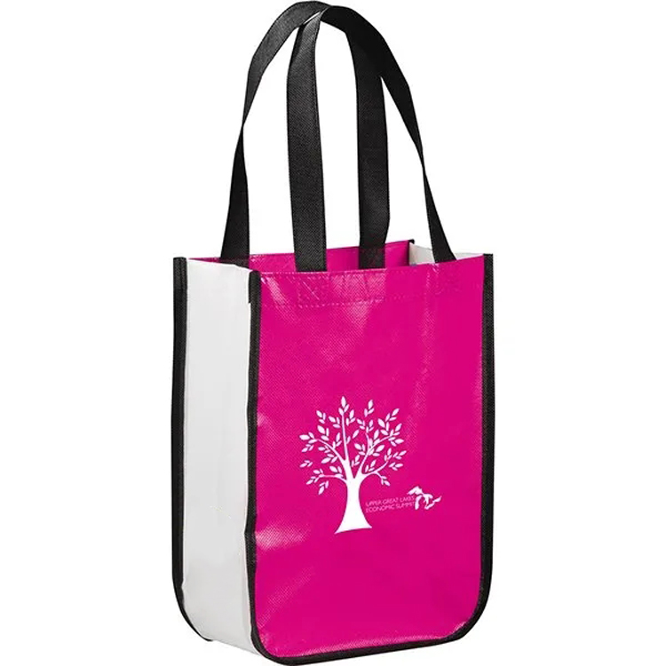 Non-woven Bag 2