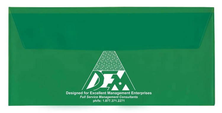 Translucent Document Cases 8