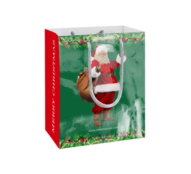 Printed Gloss Paper Bags (170 GSM Art Paper) 5