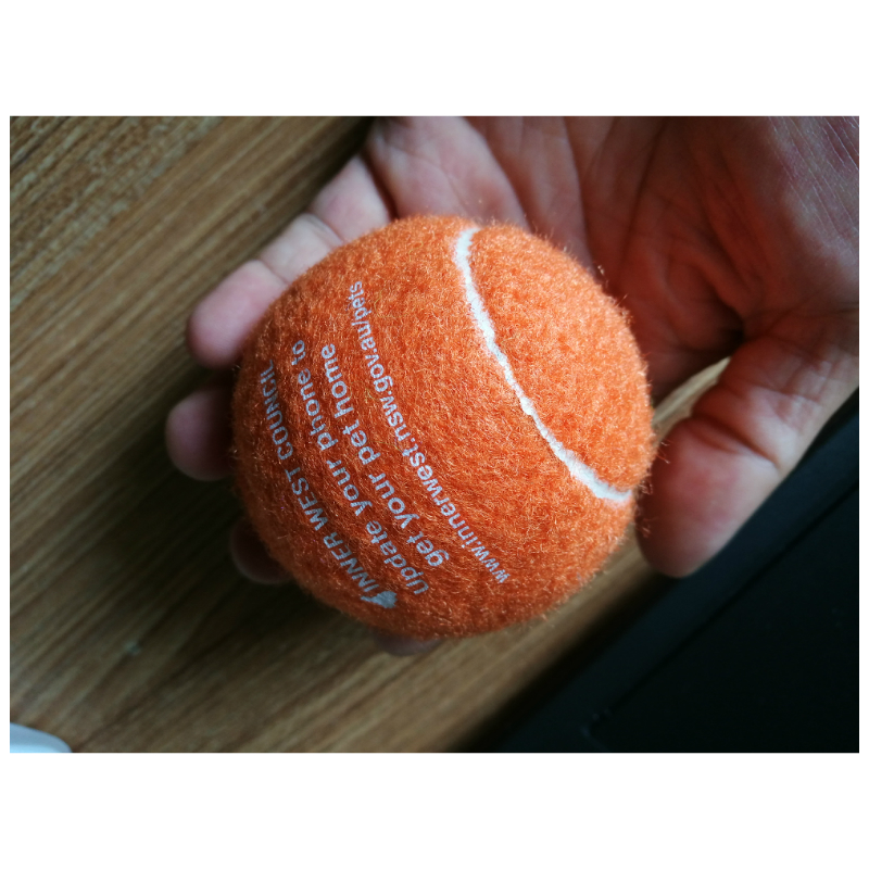 Pet Tennis Ball 3