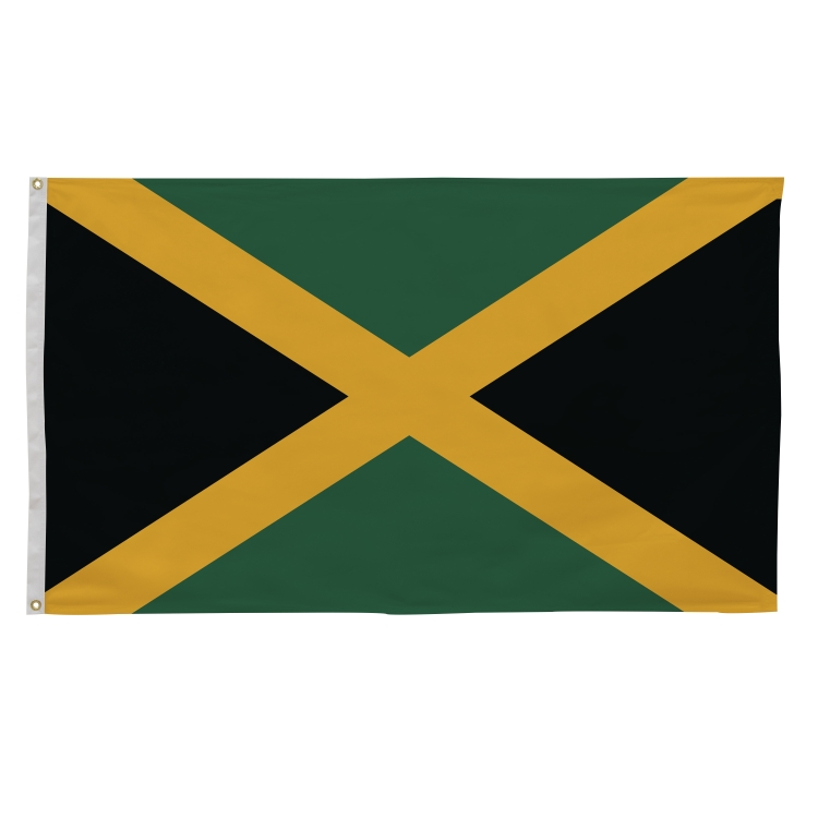 3' x 5' International Flags 131