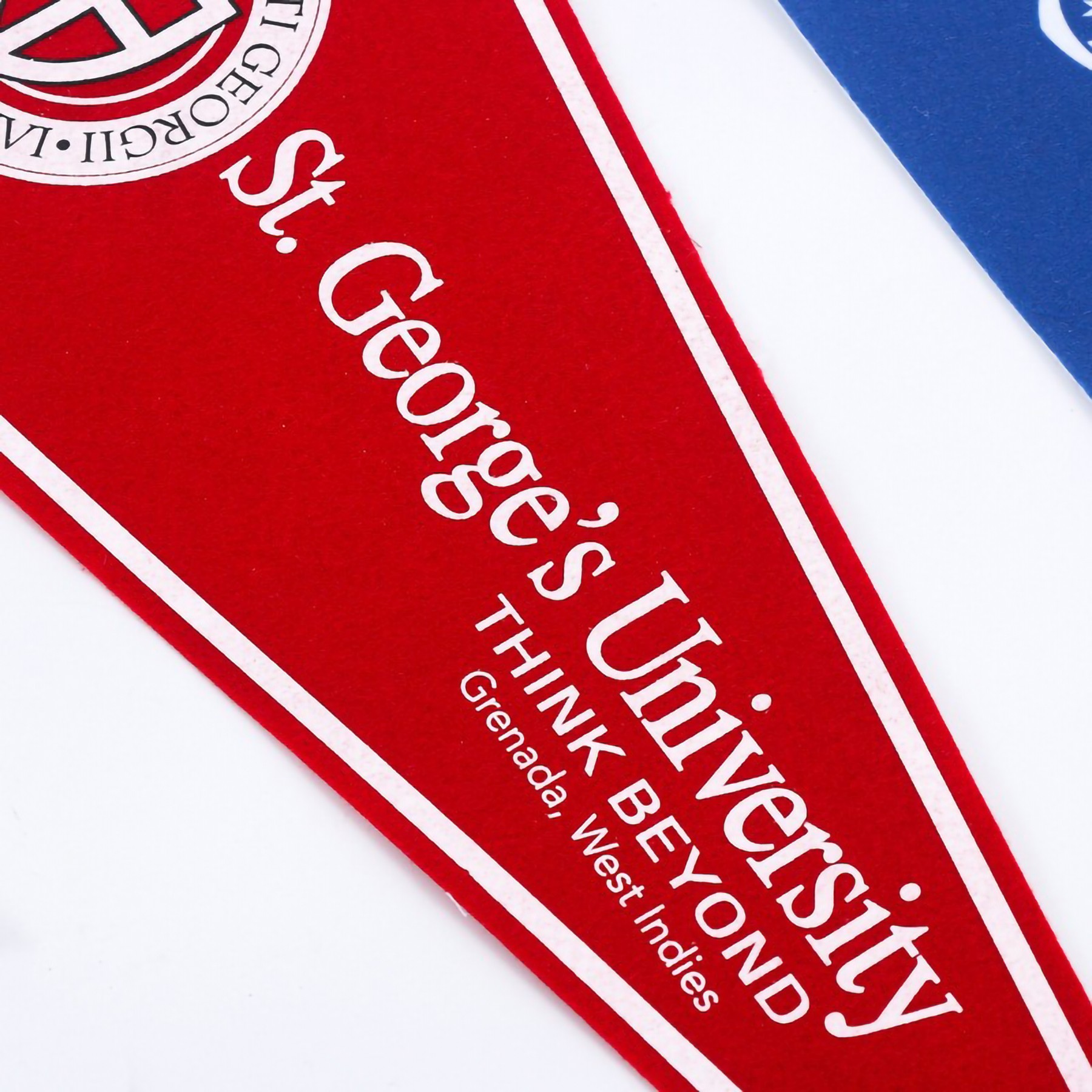 Design Your Own Single-Sided Full Color Felt Pennants 2