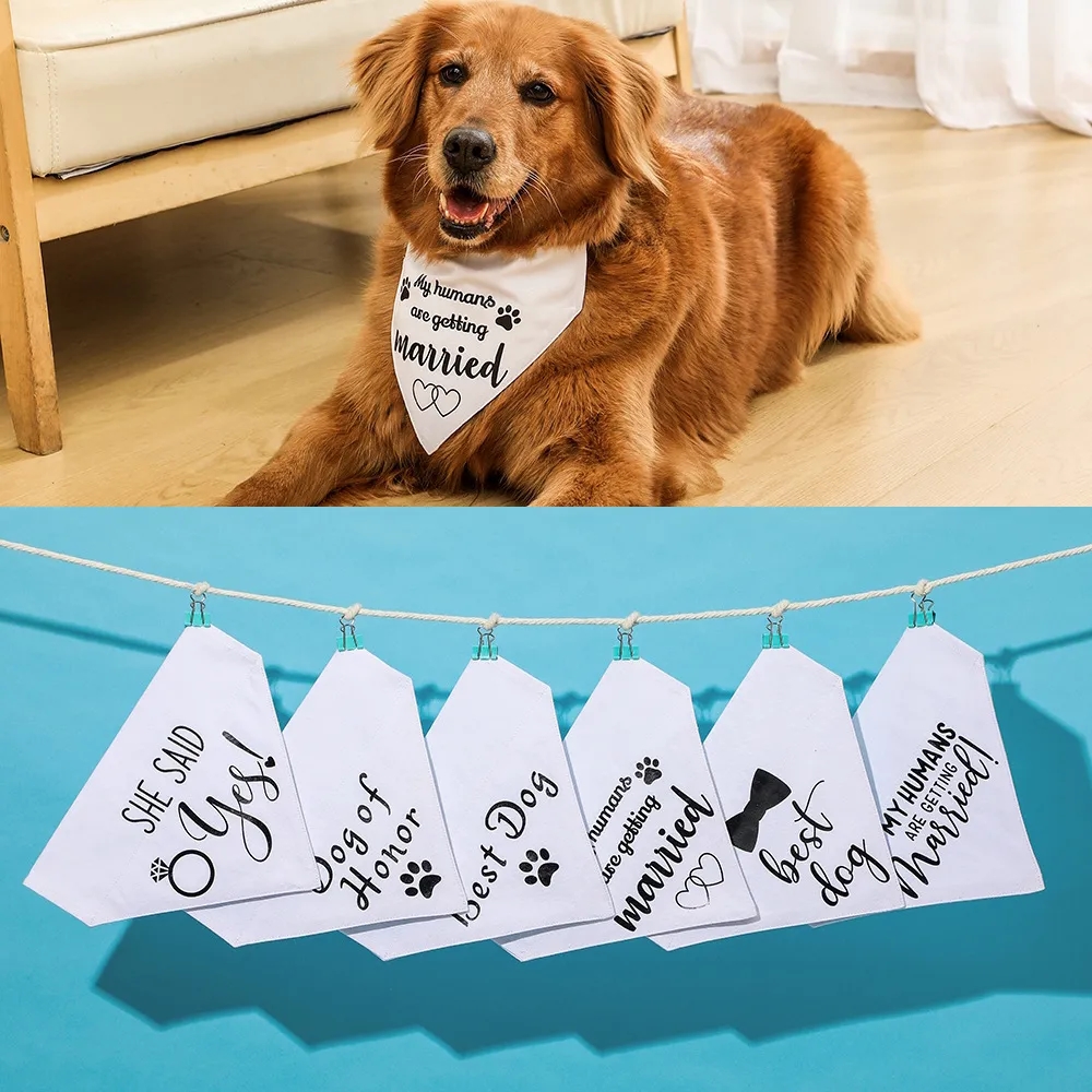 Canvas Pet Towel Collar 6