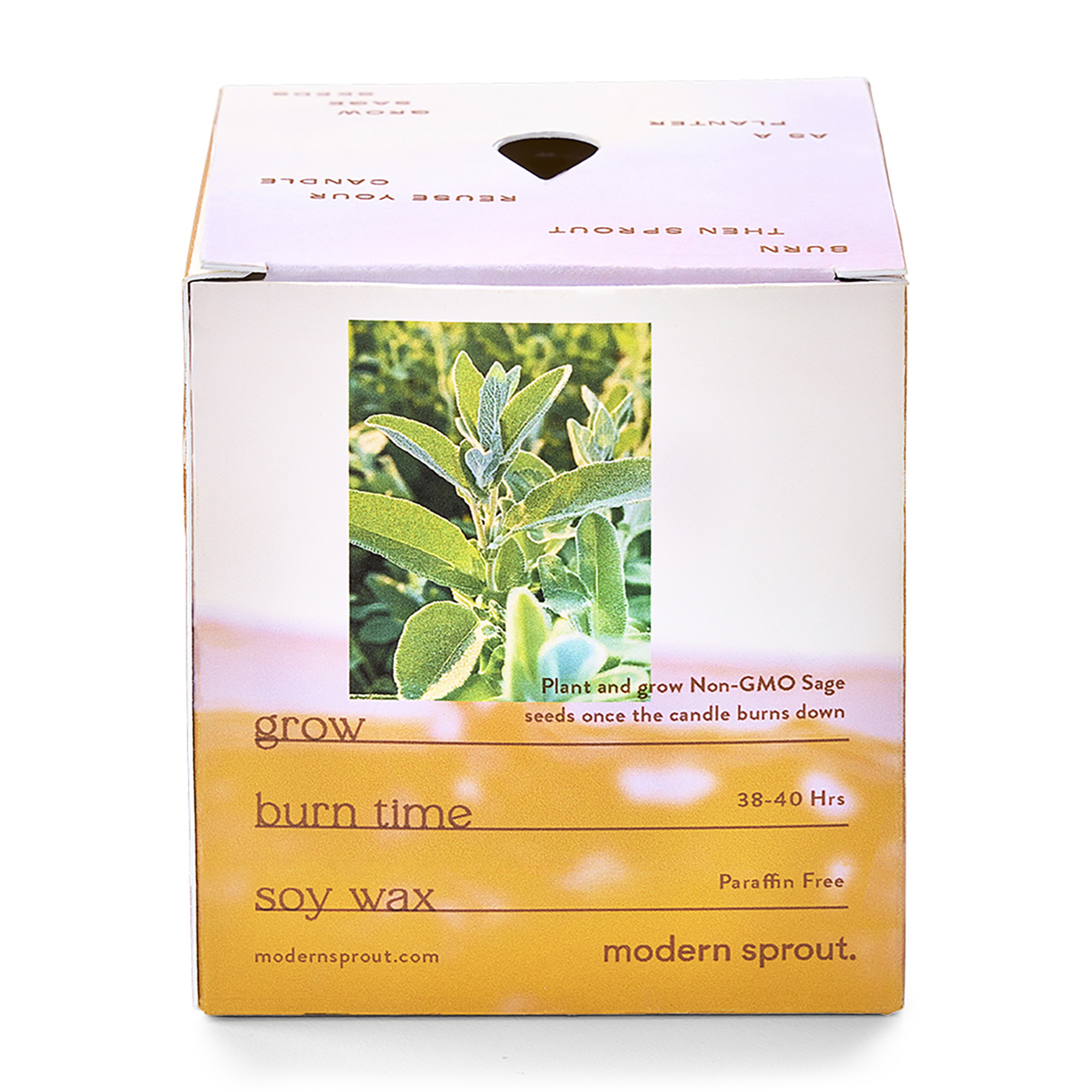 Modern Sprout® Garden Vibes Candle/Planter 62