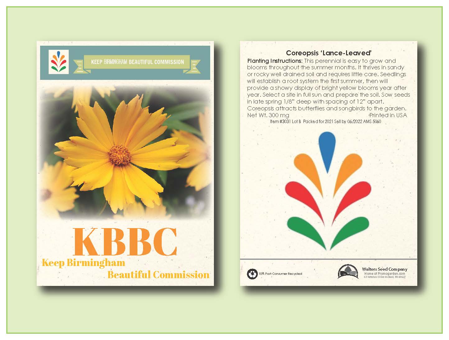 Coreopsis Lance-Leafed Seed Packet - Size 3.25" x 4.5" 2