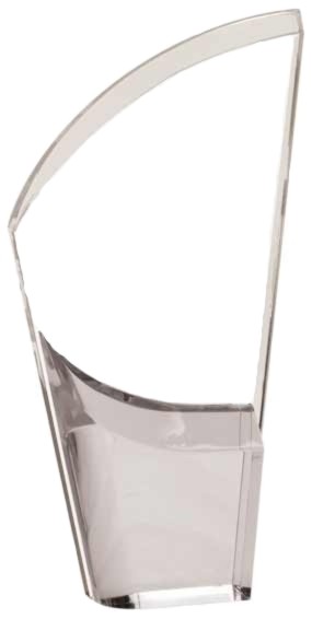 8 1/2" Mirror Lunar Acrylic Award 2