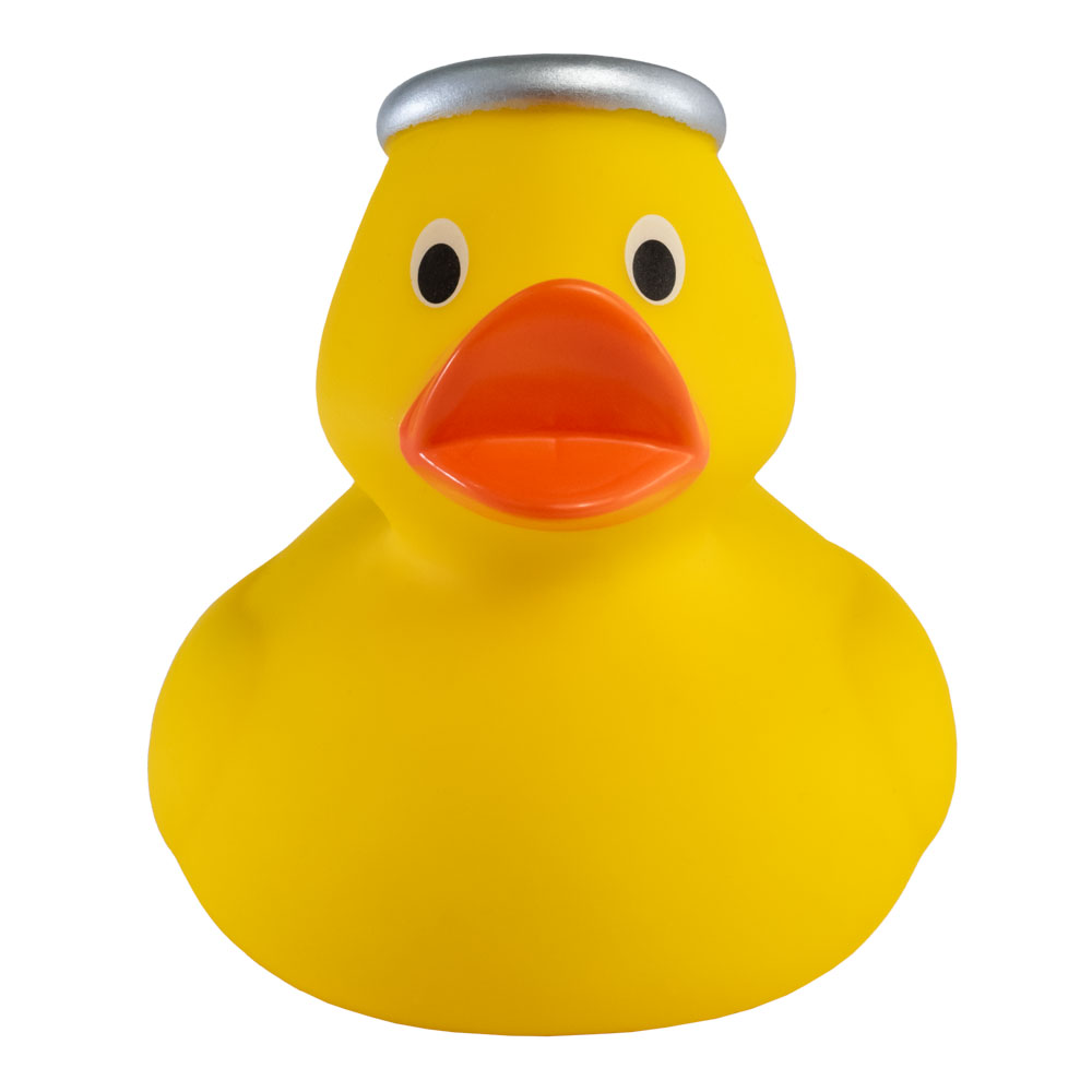 Angel Duck 7