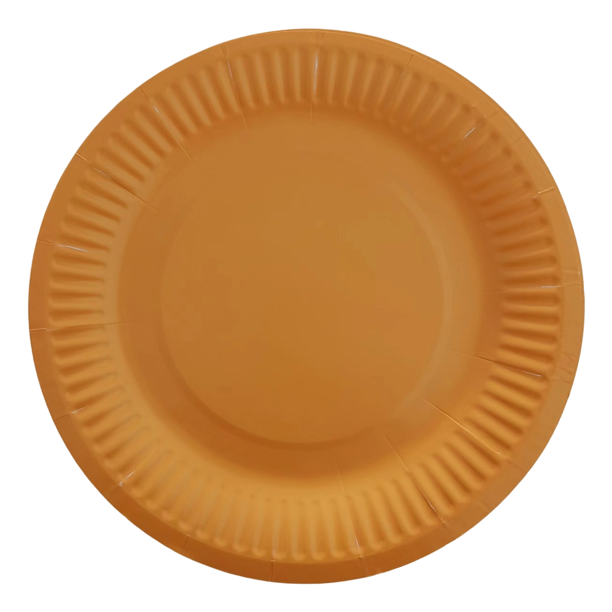Nine Inch Party Paper Plate Food Safe Disposable 14