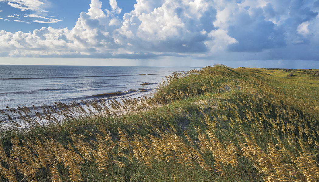 Triumph® Calendars American Splendor with Date Blocks Calendar 42