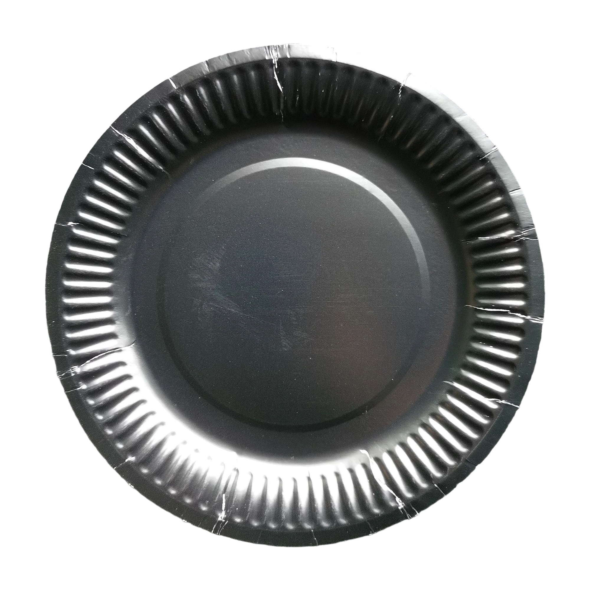 Nine Inch Party Paper Plate Food Safe Disposable 12