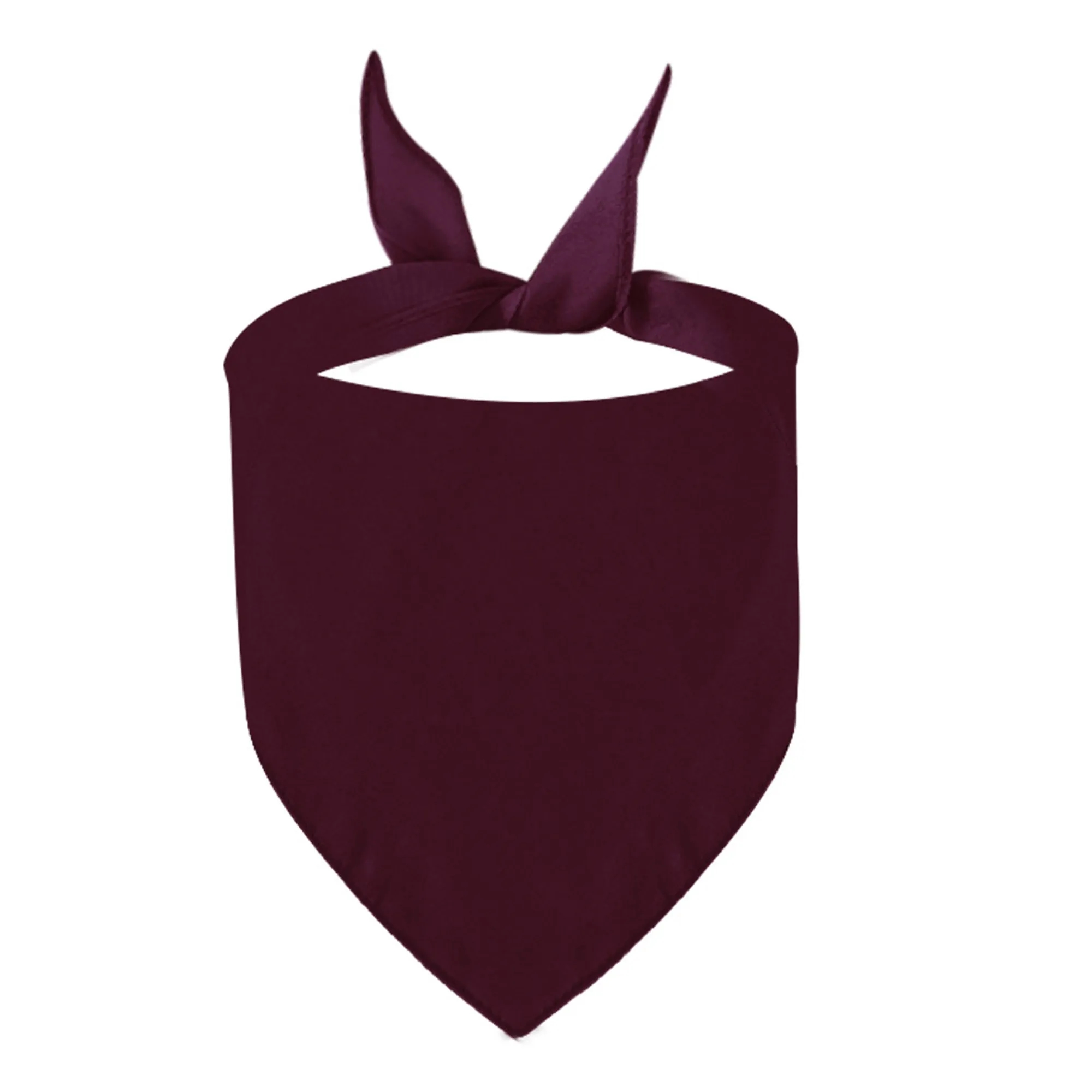 MOQ 20 Polyester Pet Triangle Scarf 12