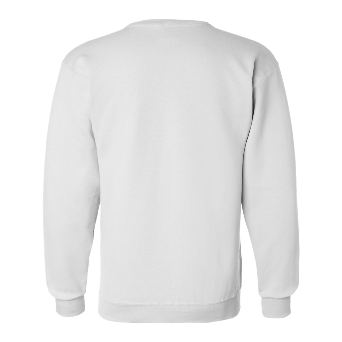 Champion Double Dry Eco Crewneck Sweatshirt 79