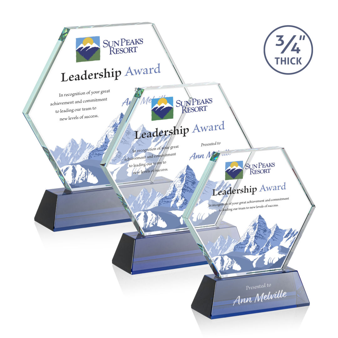 Pickering on Newhaven VividPrint™ Award - Blue 7