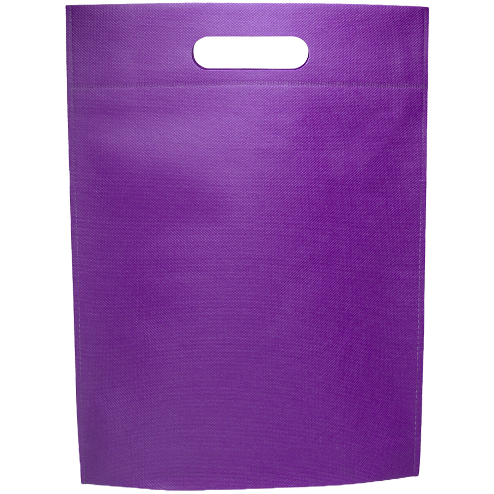 Non-Woven Exhibition Tote Bags 19