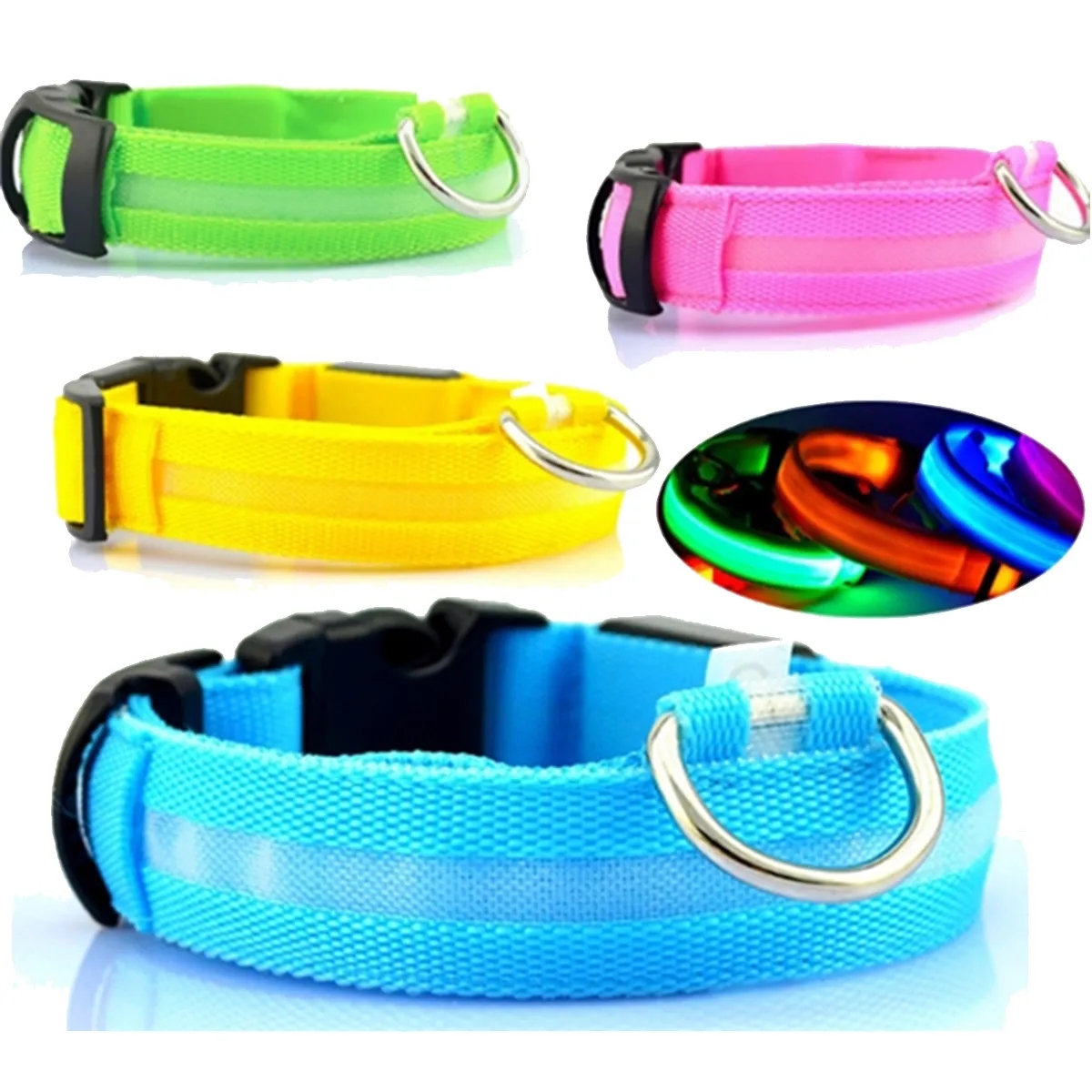 LED Dog Collar 3