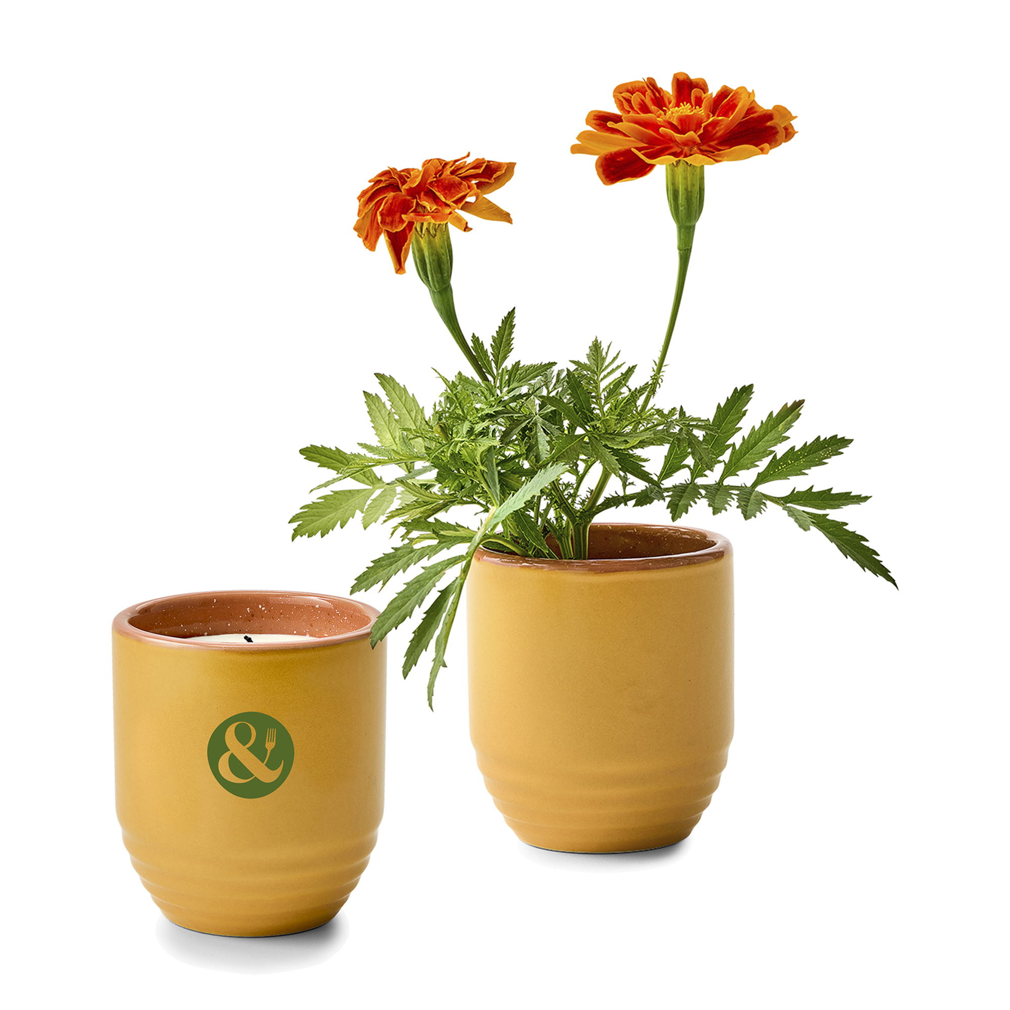 Modern Sprout® Garden Vibes Candle/Planter 7