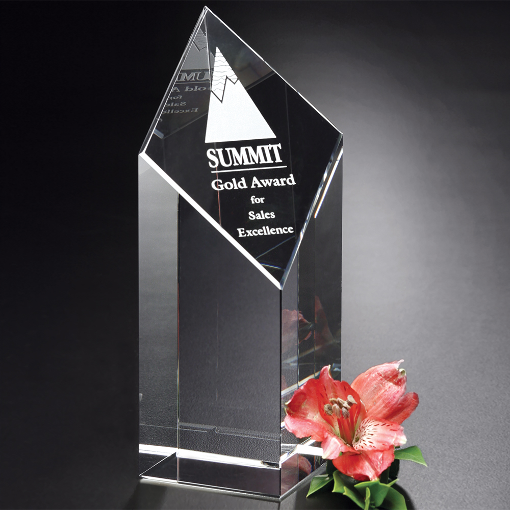 Trinity Award 10