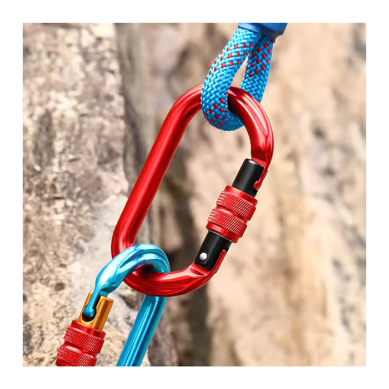 D Ring Screw Gate Aluminum Carabiner 4