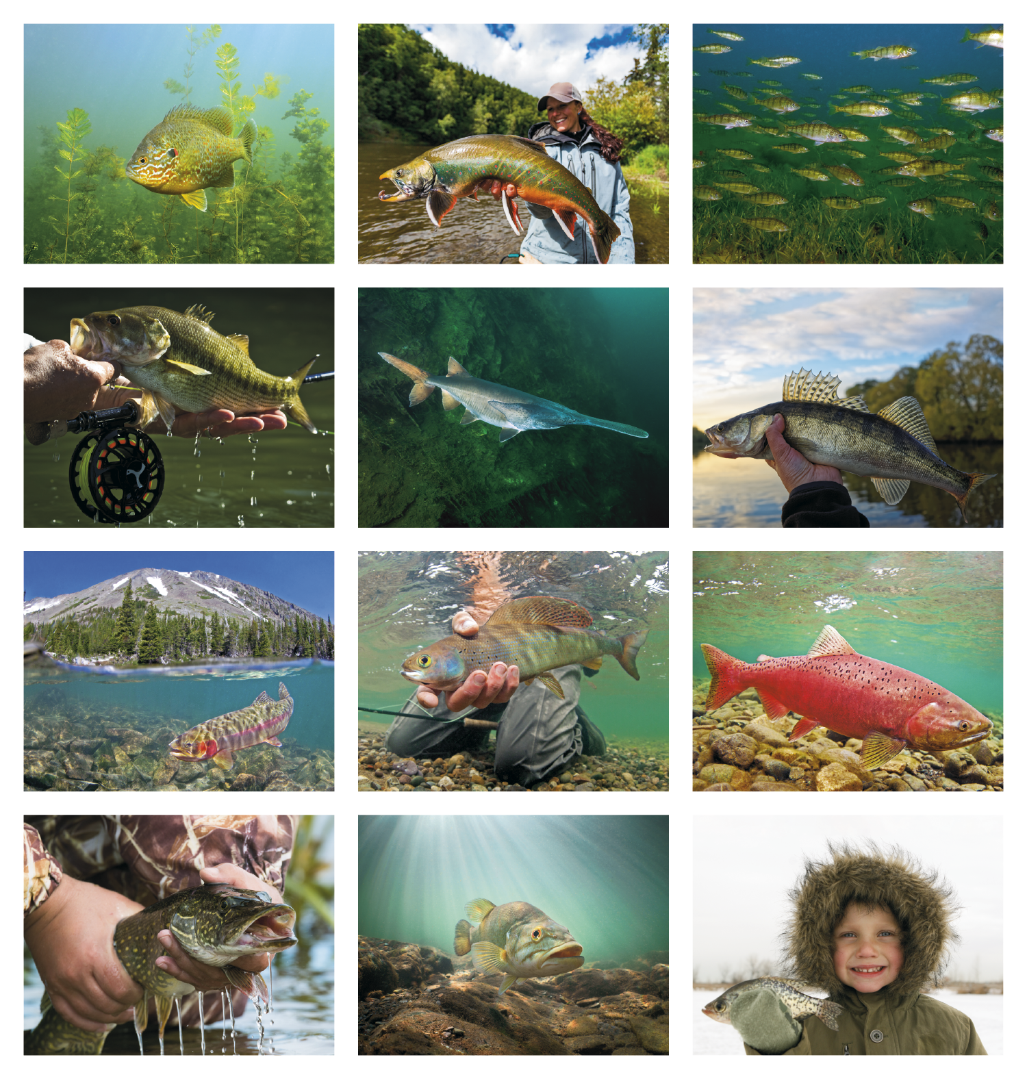 Good Value™ Fishing - Spiral Calendar 49