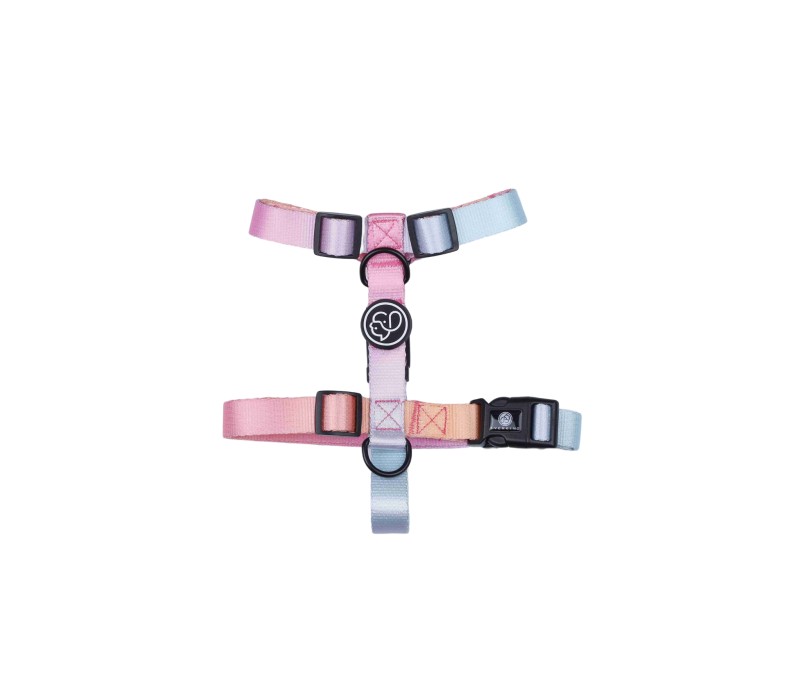 Stylish Adjustable Pet Vest Harness-Medium 1