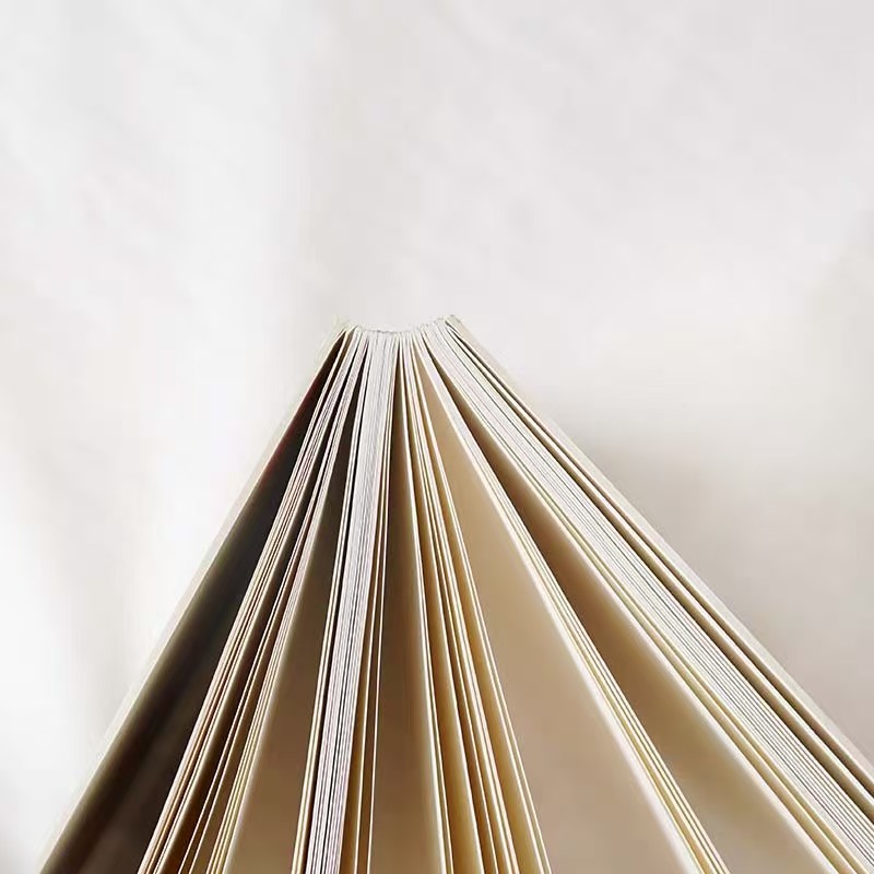 Blank Open-Back Journal 2