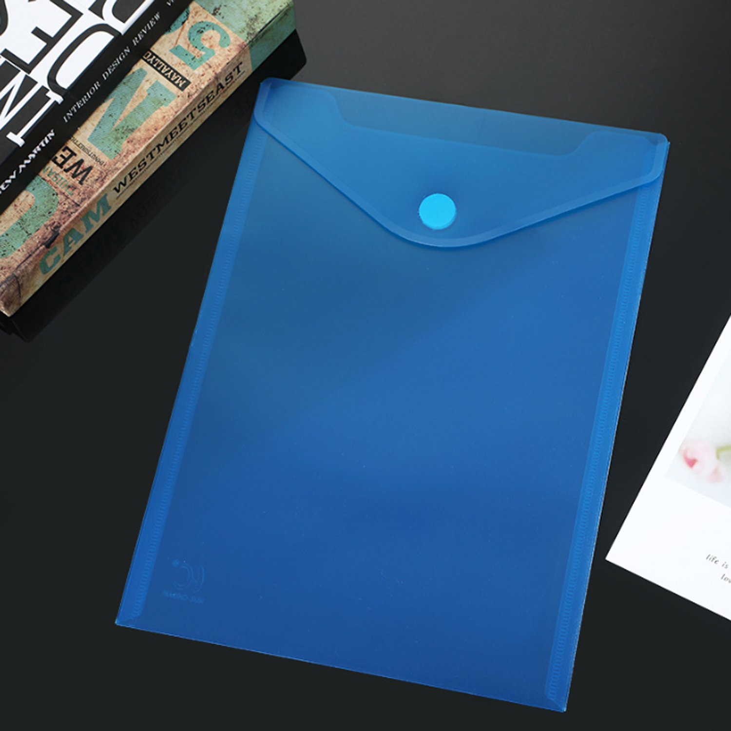 Letter Size Lightweight Plastic File Folder 10
