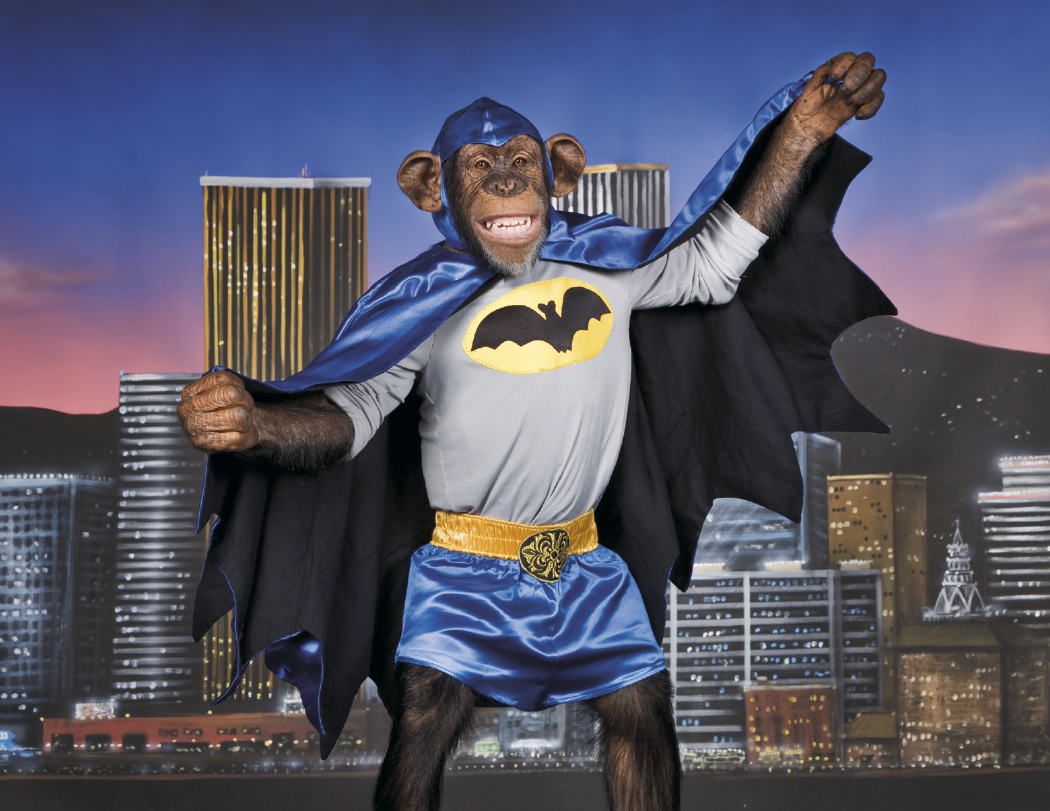 Triumph® Calendars Monkey Business Calendar 16