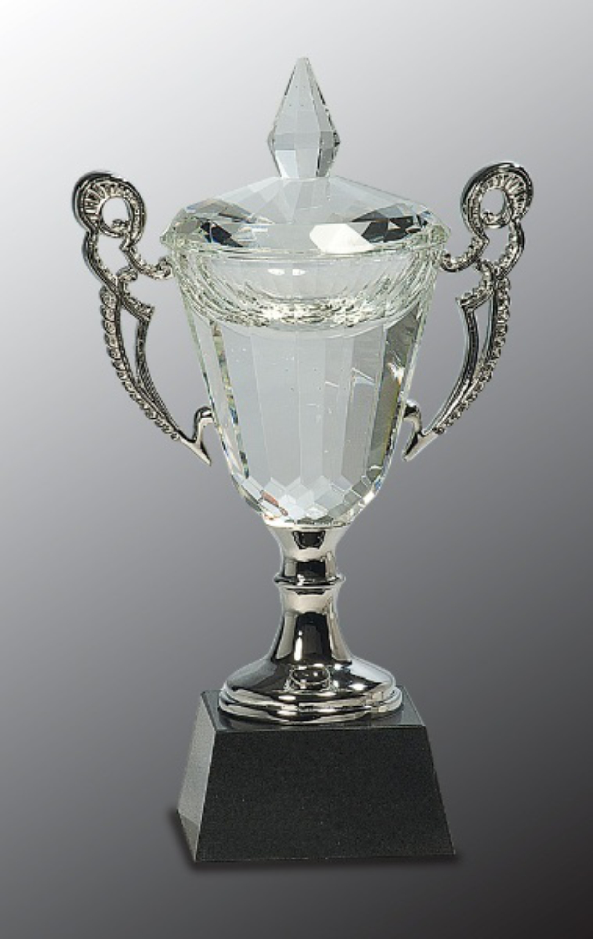 9 1/2" Crystal Cup with Silver Handles and Stem Crystal Award 2