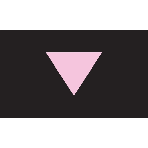 Pink Triangle Stick Flag 2