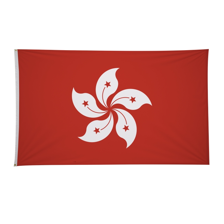 6' x 10' International Flags 22