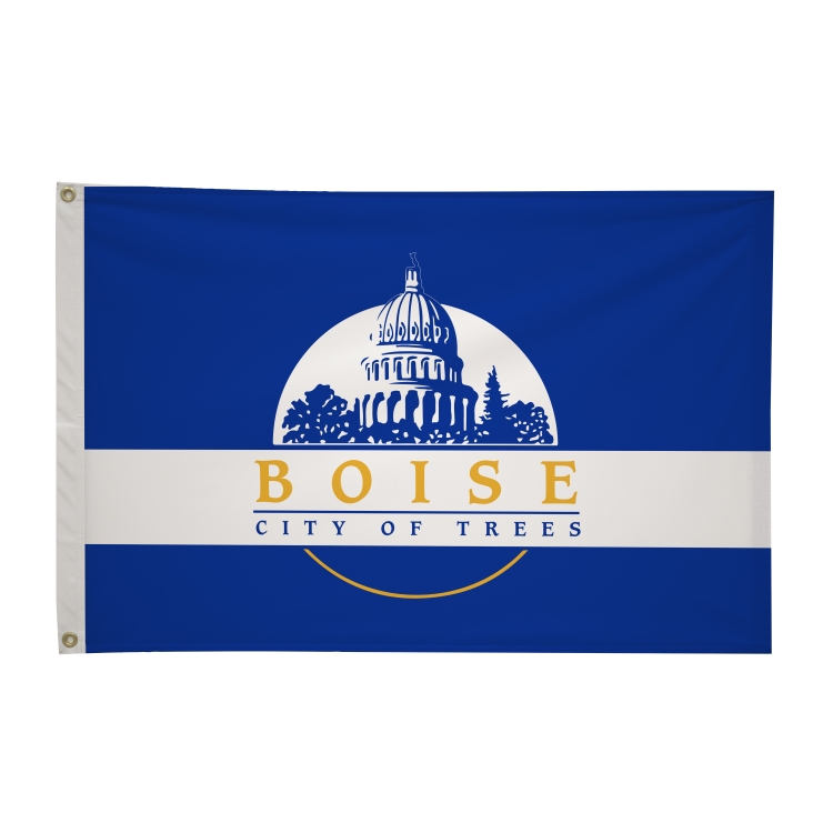 2' x 3' City Flags 12